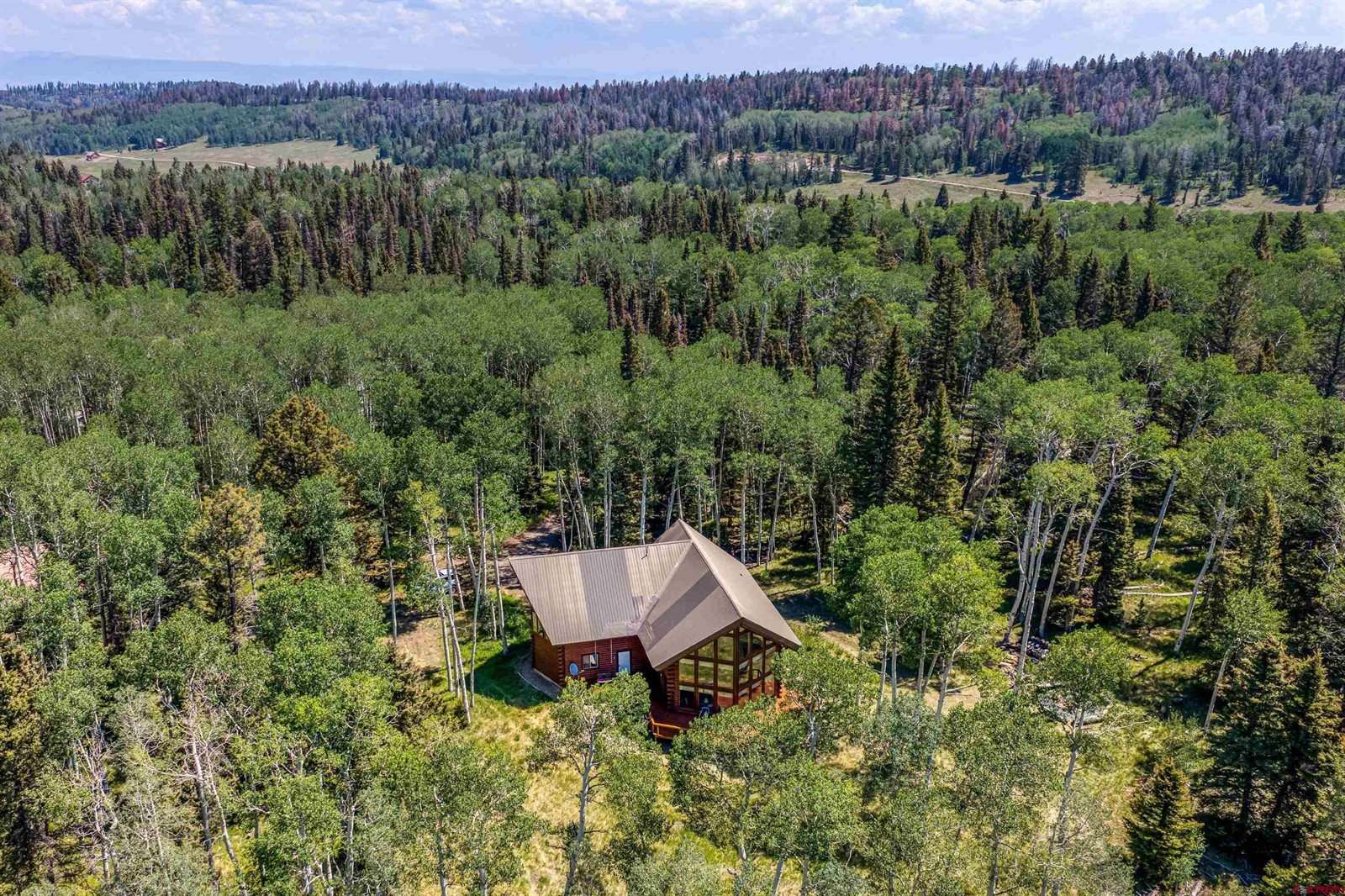 60 Spruce Drive, Cimarron, CO 81220