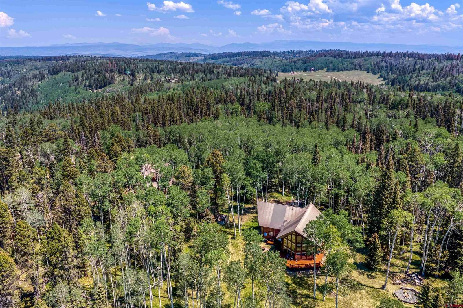 60 Spruce Drive, Cimarron, CO 81220