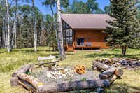 60 Spruce Drive, Cimarron, CO 81220