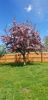 140 26th Avenue, Madawaska, ME 04756
