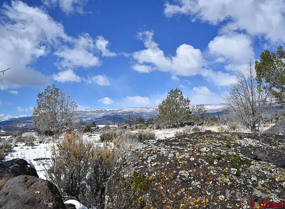 345 NW ELM Avenue, Cedaredge, CO 81413