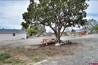 345 NW ELM Avenue, Cedaredge, CO 81413