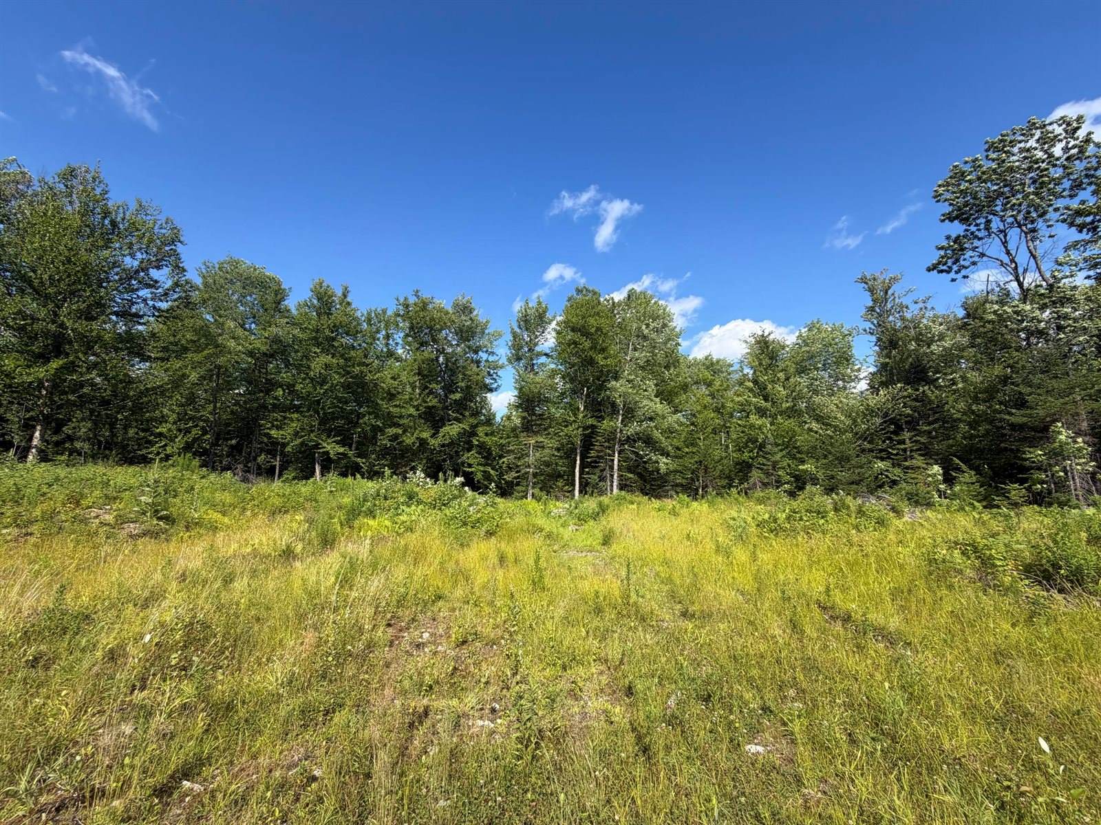 38 Monument Road, Abbot, ME 04406