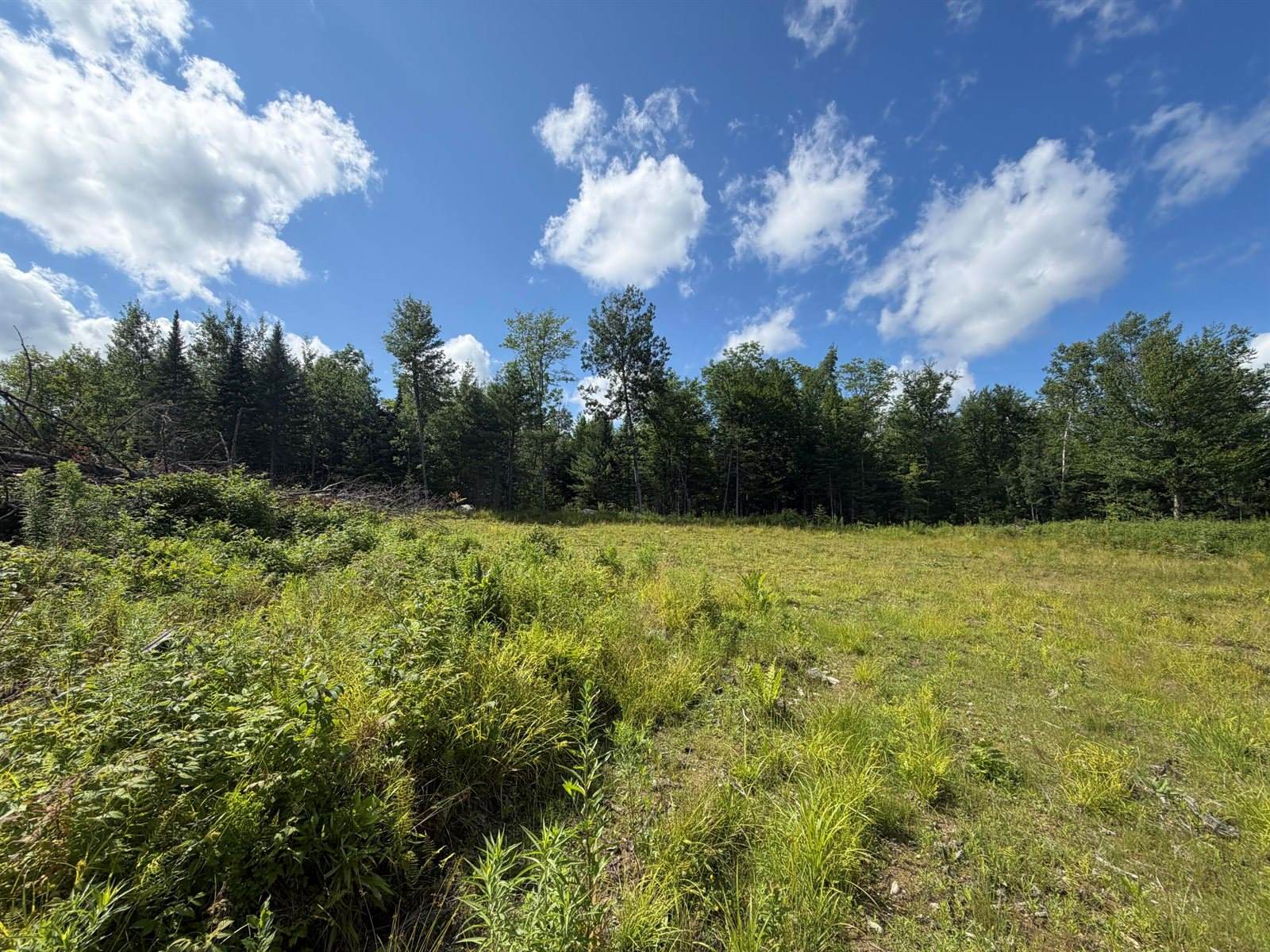 38 Monument Road, Abbot, ME 04406