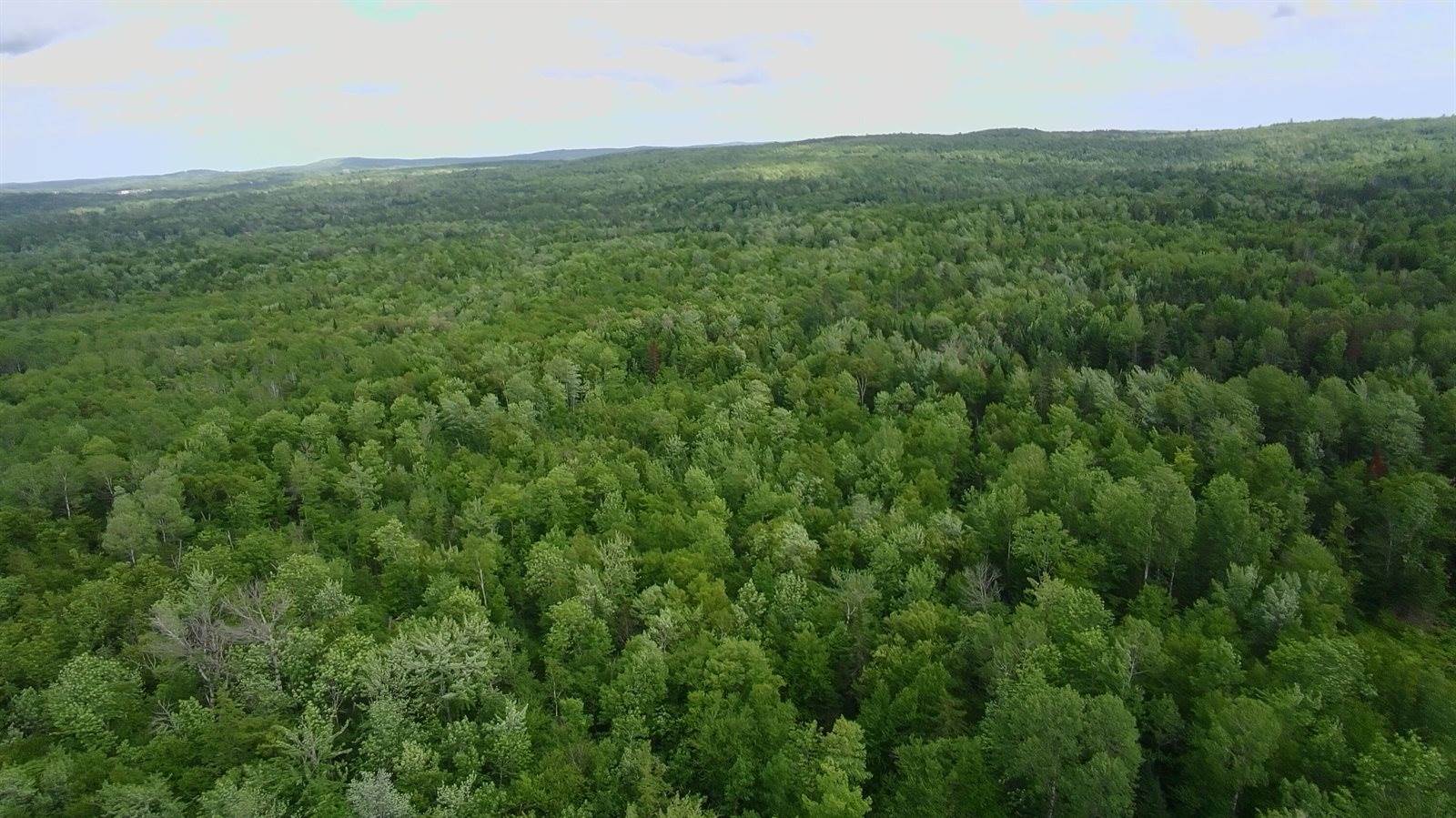 38 Monument Road, Abbot, ME 04406