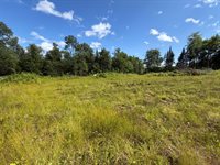 38 Monument Road, Abbot, ME 04406