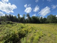 38 Monument Road, Abbot, ME 04406