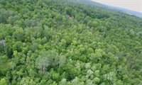 38 Monument Road, Abbot, ME 04406