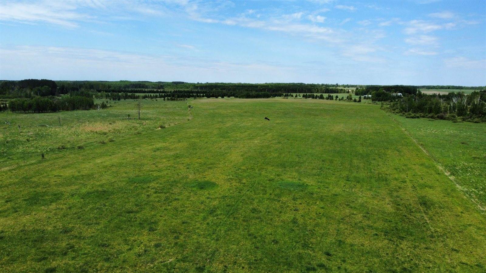 xxx County Rd 135, Kettle River, MN 55757