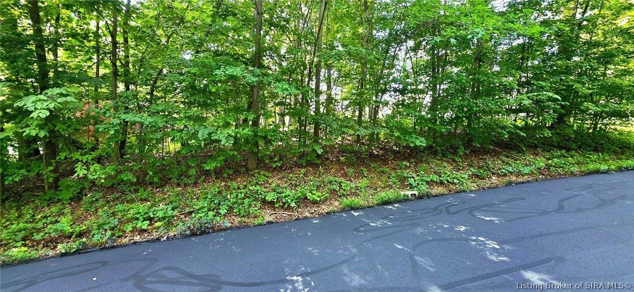 0 Rosie Gayle Drive NE, Palmyra, IN 47164