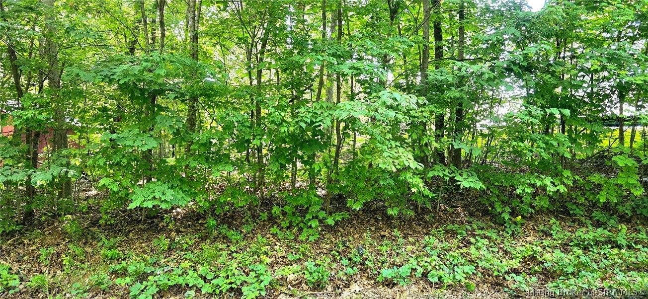 0 Rosie Gayle Drive NE, Palmyra, IN 47164
