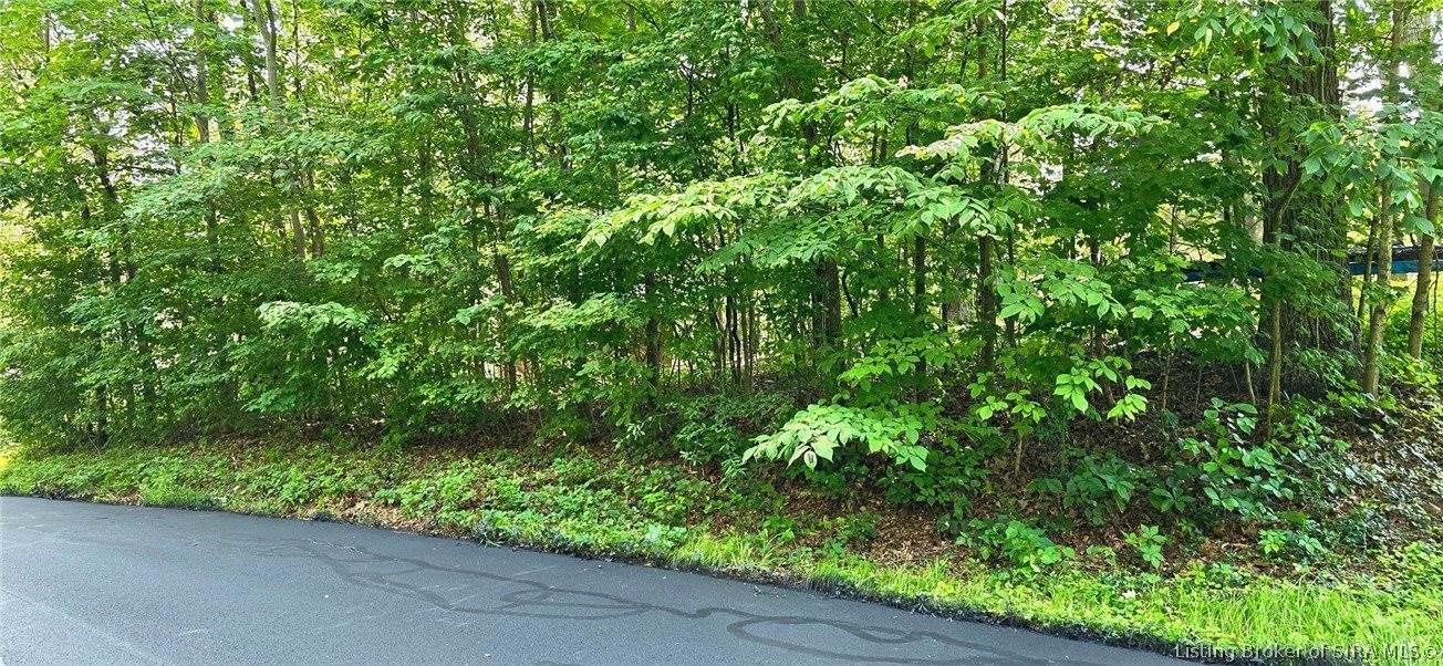 0 Rosie Gayle Drive NE, Palmyra, IN 47164