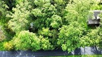 0 Rosie Gayle Drive NE, Palmyra, IN 47164