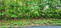 0 Rosie Gayle Drive NE, Palmyra, IN 47164