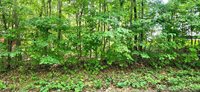 0 Rosie Gayle Drive NE, Palmyra, IN 47164