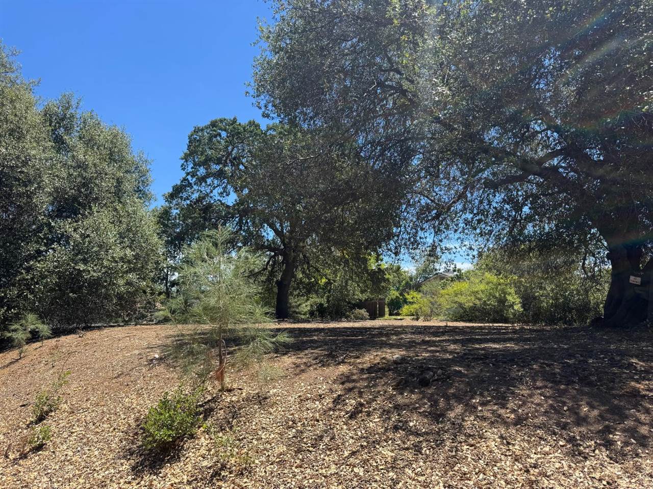 858 Mark Twain, Angels Camp, CA 95222