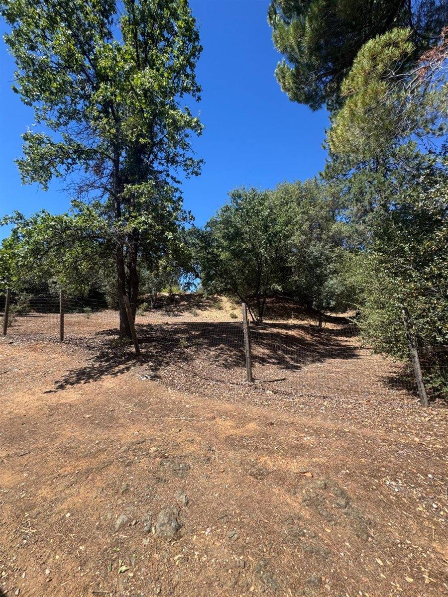 858 Mark Twain, Angels Camp, CA 95222