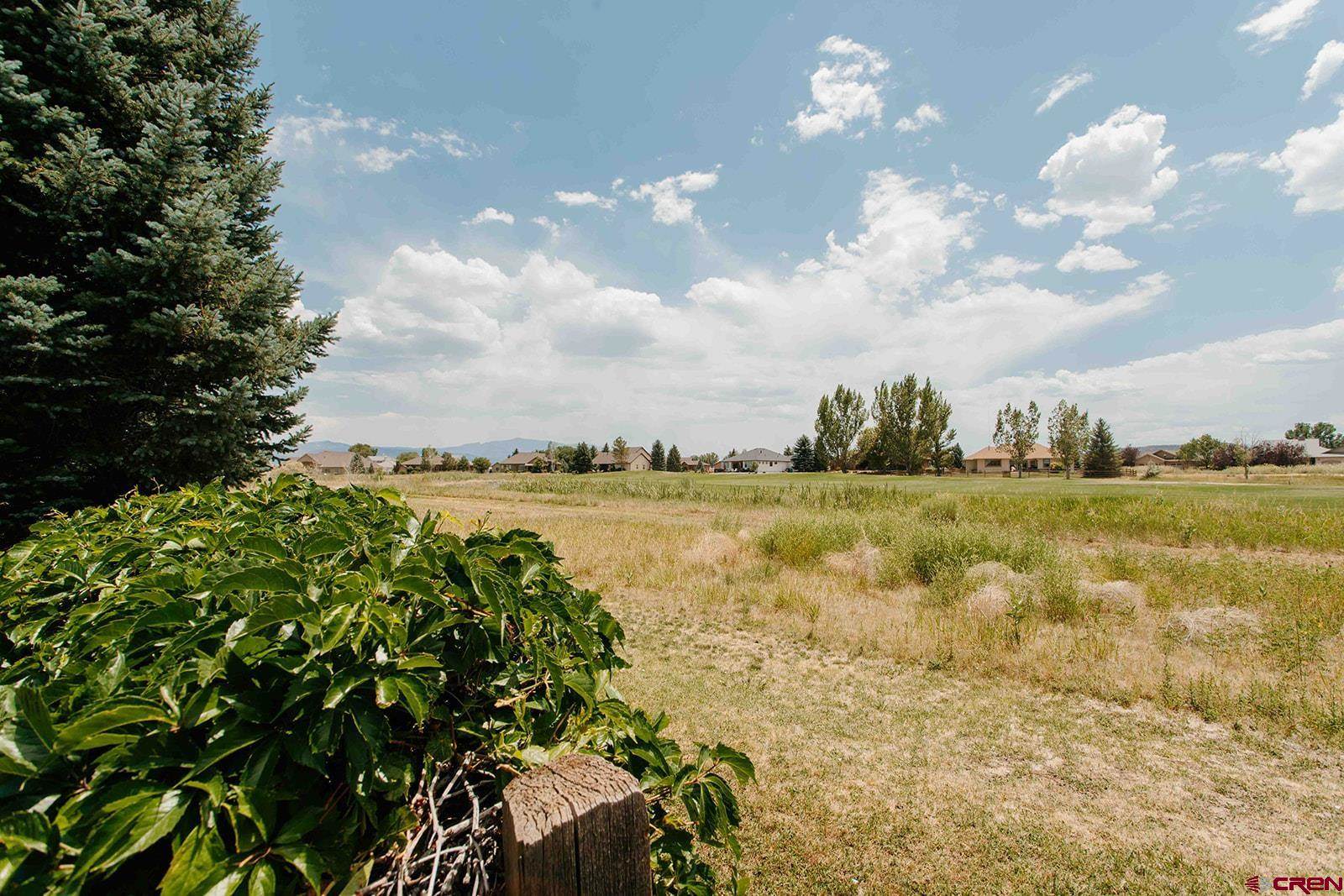 455 Cobble Drive, Montrose, CO 81403