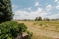 455 Cobble Drive, Montrose, CO 81403