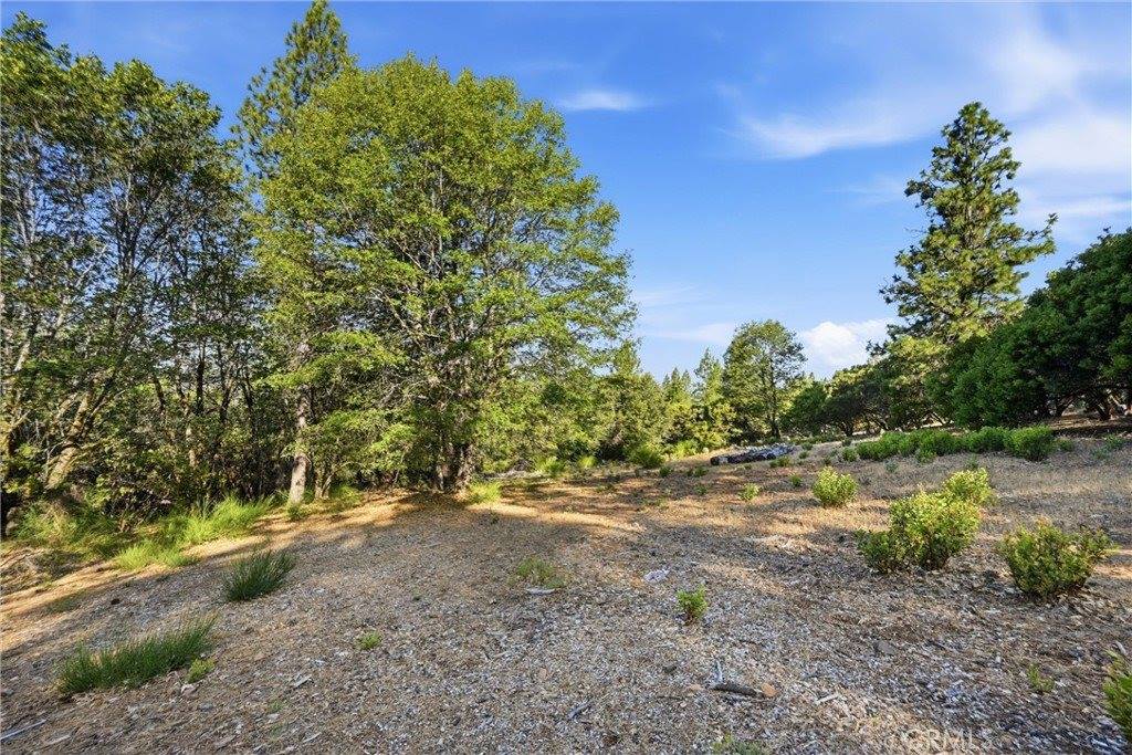 9003 Fox Drive, Cobb, CA 95426