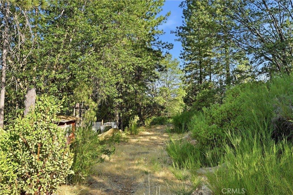 9003 Fox Drive, Cobb, CA 95426