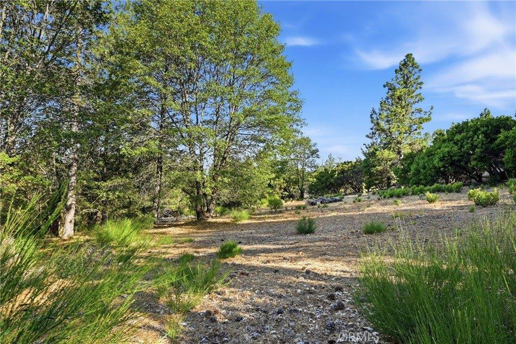 9003 Fox Drive, Cobb, CA 95426