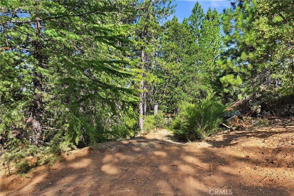 9003 Fox Drive, Cobb, CA 95426