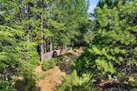 9003 Fox Drive, Cobb, CA 95426