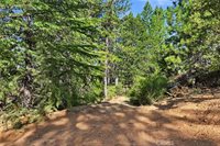 9003 Fox Drive, Cobb, CA 95426