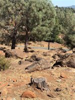 16547 Crescent Court, Hidden Valley Lake, CA 95467
