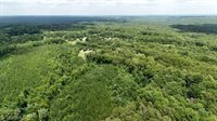 0 Bunker Hill Road, Walnut Cove, NC 27052