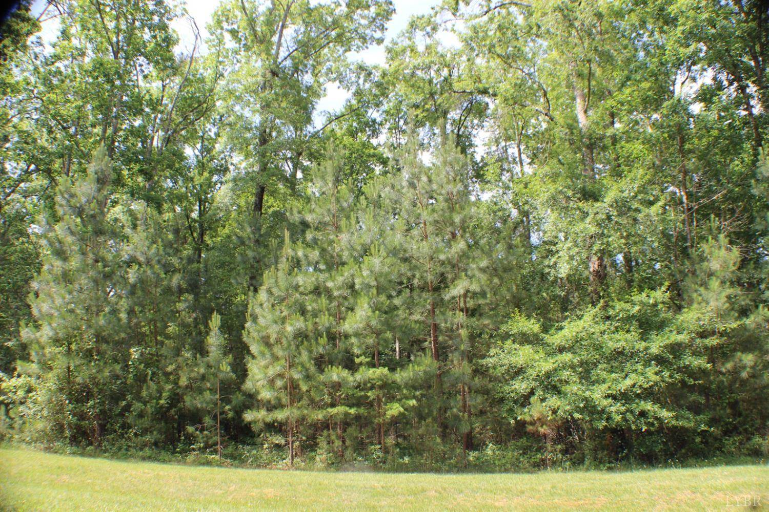 305 Runaway Bay Road, Lynch Station, VA 24571