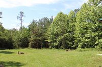 305 Runaway Bay Road, Lynch Station, VA 24571