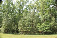 305 Runaway Bay Road, Lynch Station, VA 24571