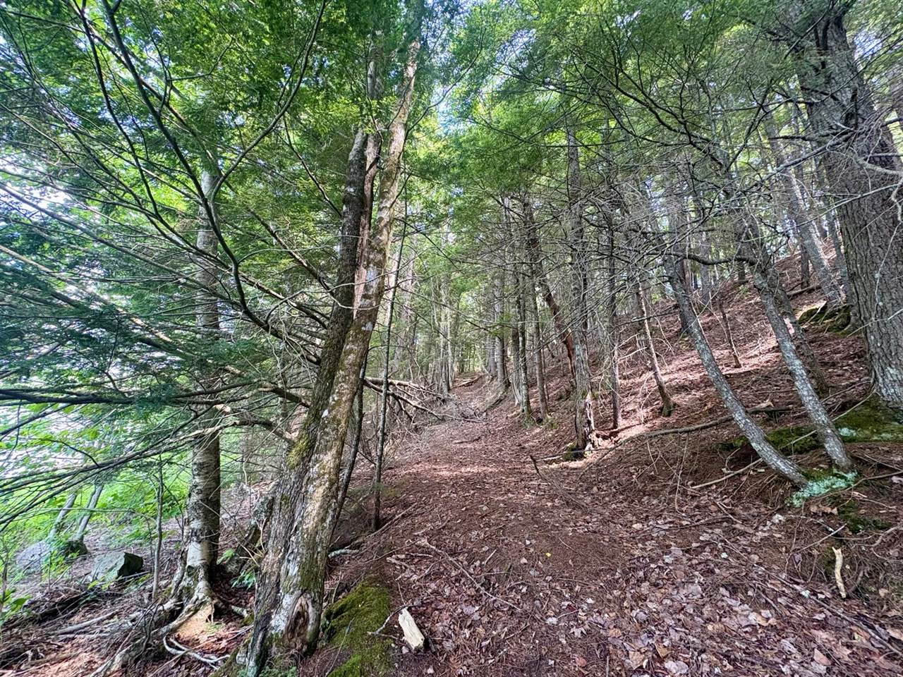 219 River Road, Maxfield, ME 04453