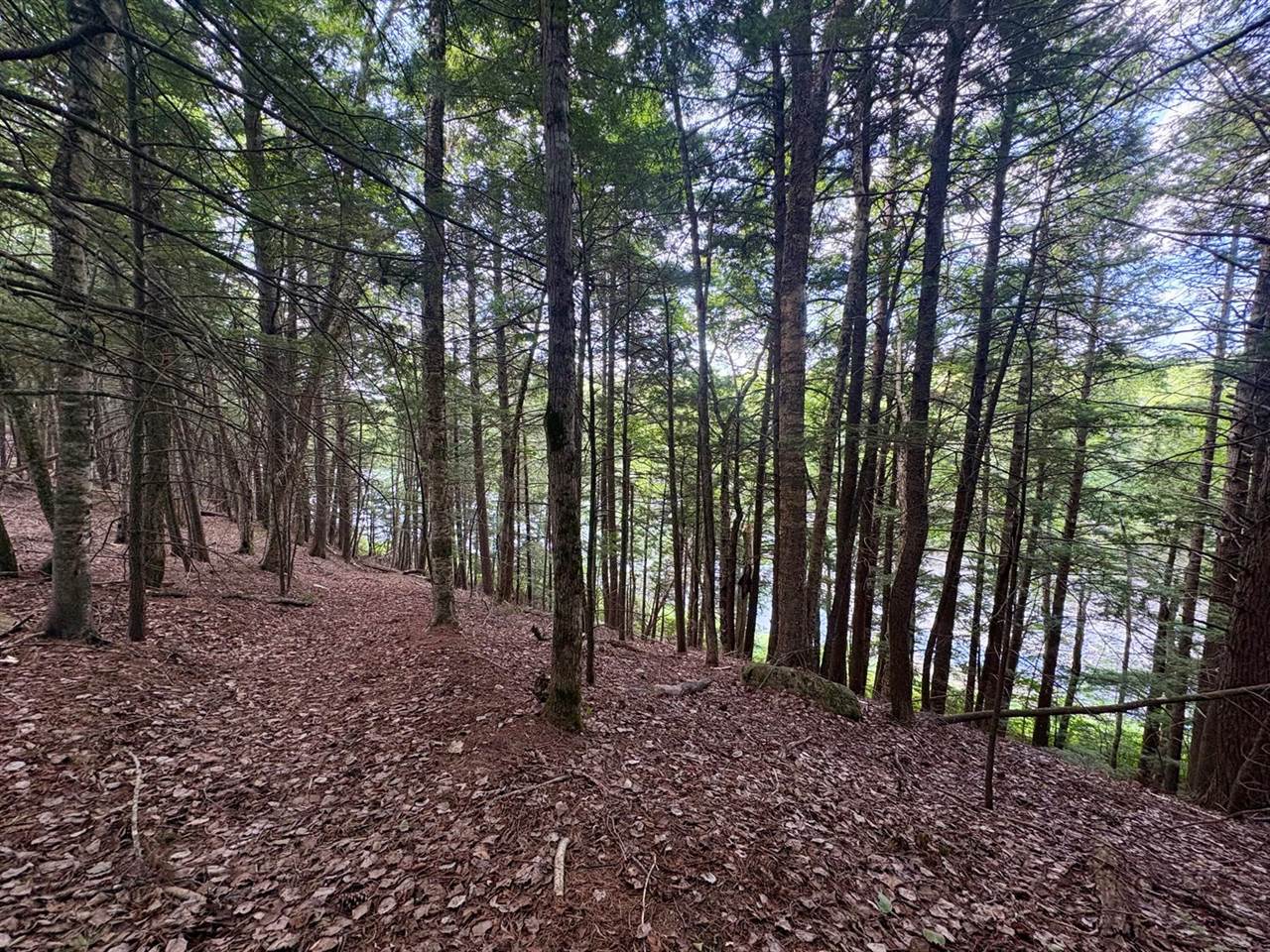 219 River Road, Maxfield, ME 04453