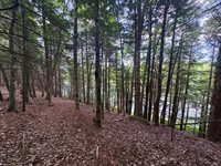 219 River Road, Maxfield, ME 04453