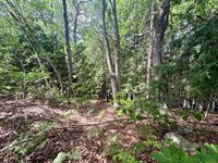 219 River Road, Maxfield, ME 04453