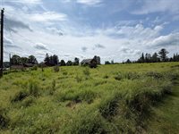 1211 North Dexter Road, Sangerville, ME 04479