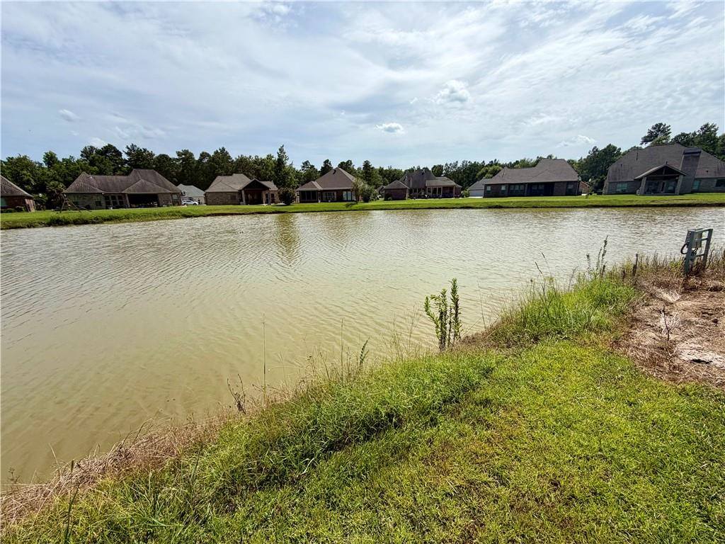 Lake Bienville Court, Ponchatoula, LA 70454