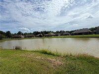 Lake Bienville Court, Ponchatoula, LA 70454