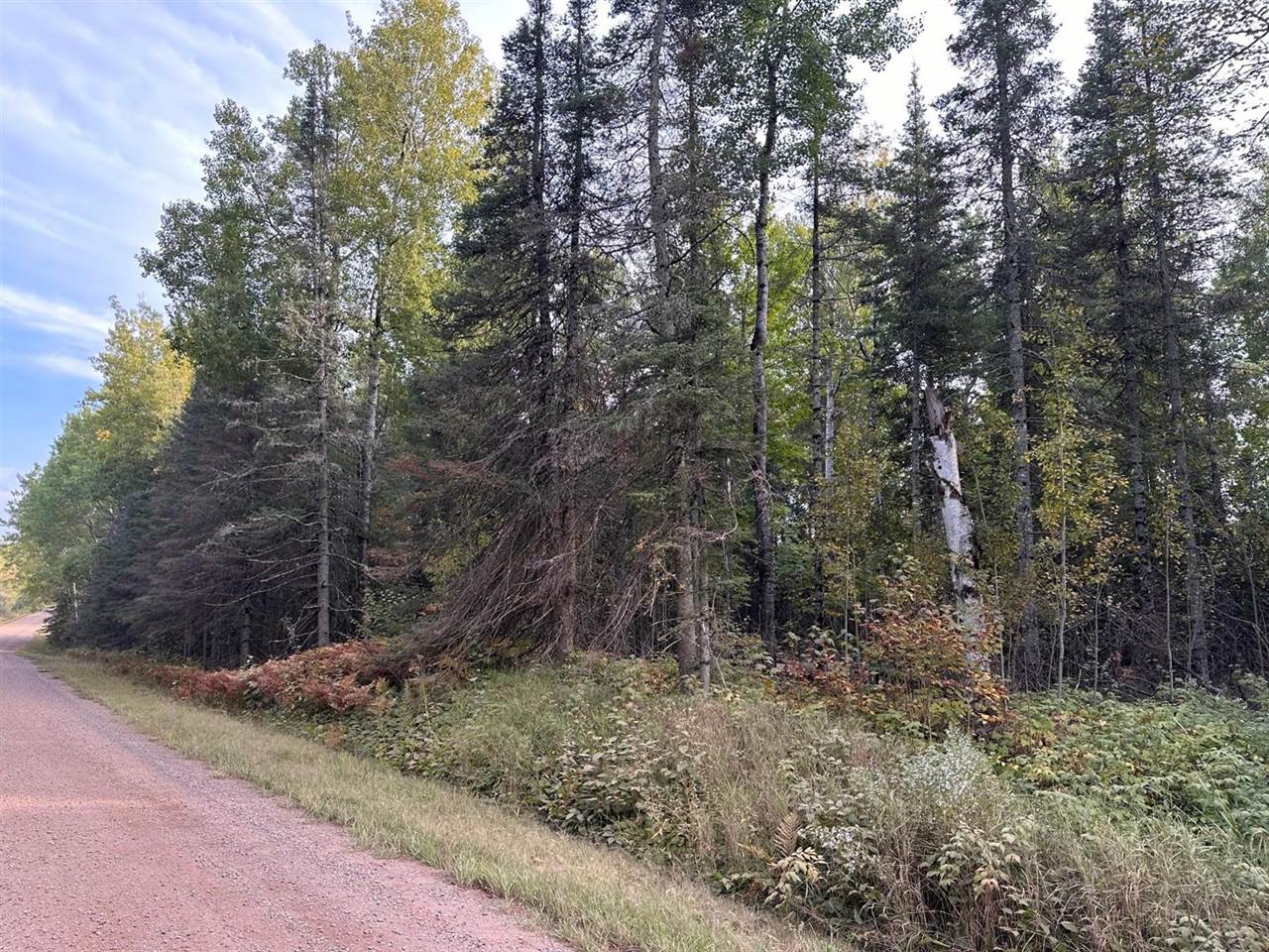 TBD Old Vermilion Trail, Duluth, MN 55803