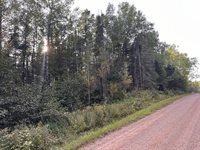 TBD Old Vermilion Trail, Duluth, MN 55803