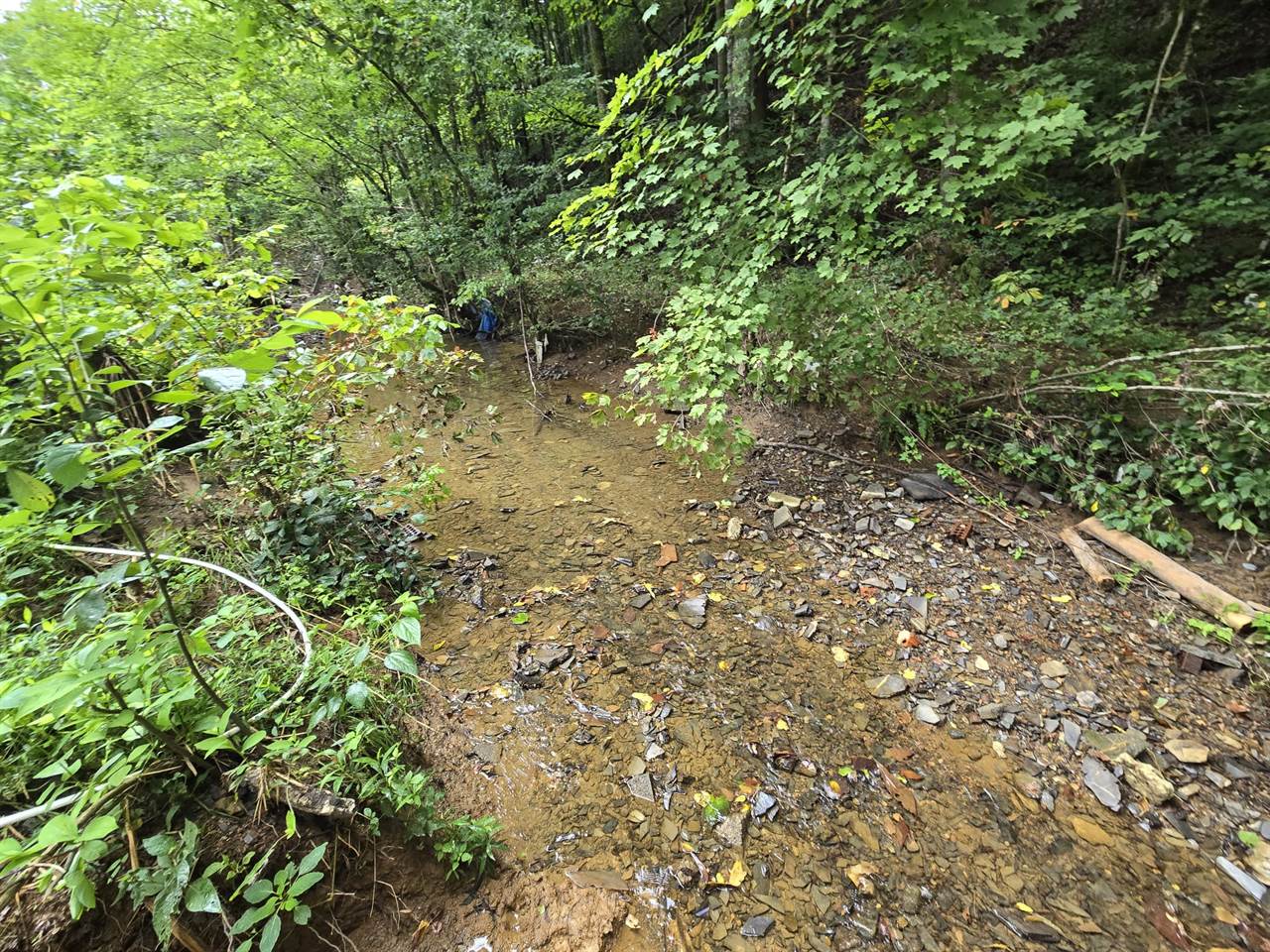 1023 Baysinger Rd, Parrottsville, TN 37843