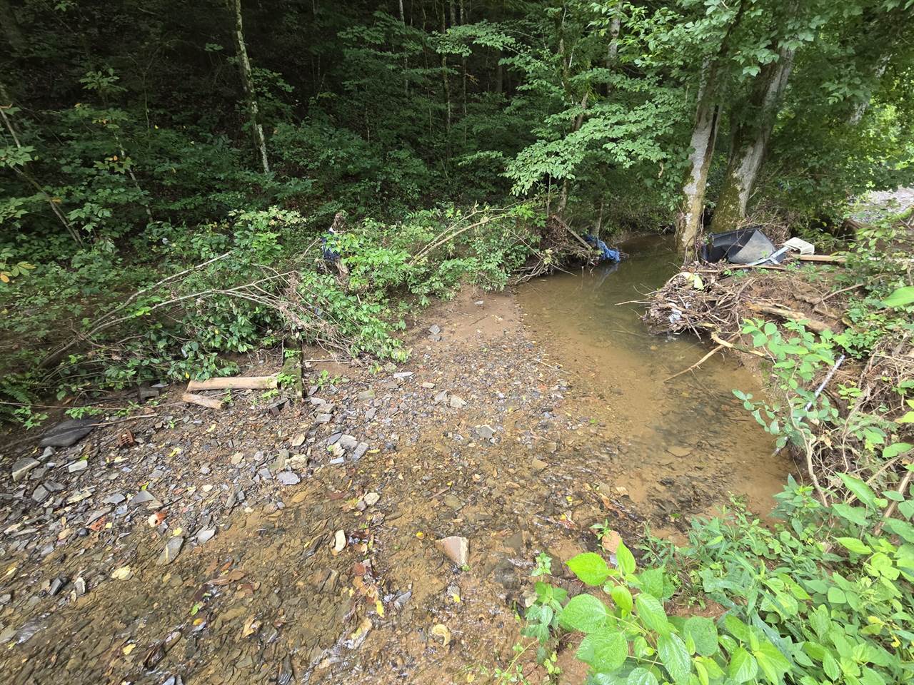 1023 Baysinger Rd, Parrottsville, TN 37843
