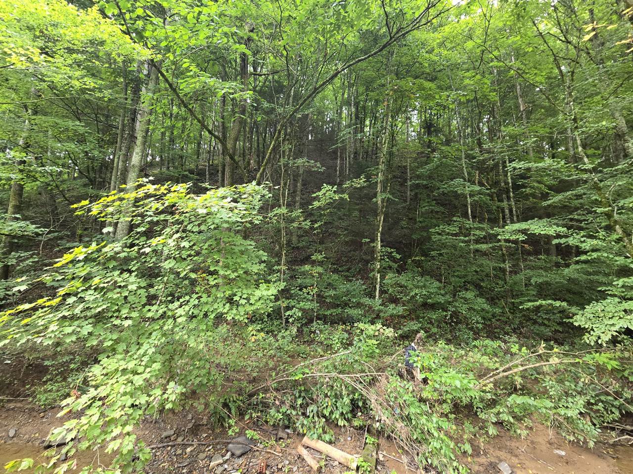 1023 Baysinger Rd, Parrottsville, TN 37843