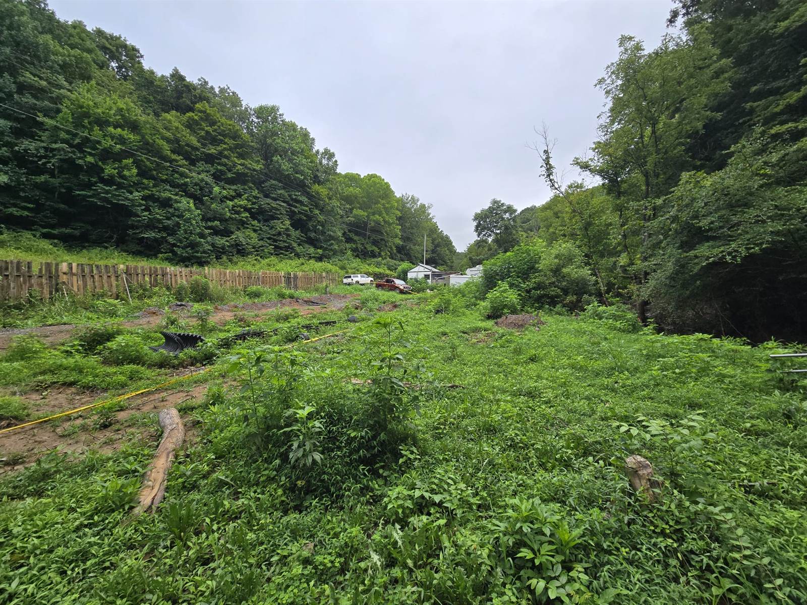 1023 Baysinger Rd, Parrottsville, TN 37843