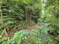 1023 Baysinger Rd, Parrottsville, TN 37843