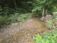 1023 Baysinger Rd, Parrottsville, TN 37843