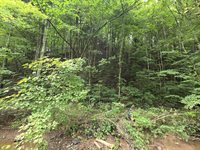 1023 Baysinger Rd, Parrottsville, TN 37843